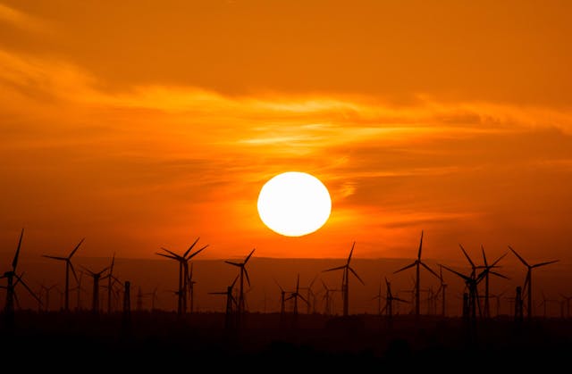 Solar panels harvesting renewable energy in open field